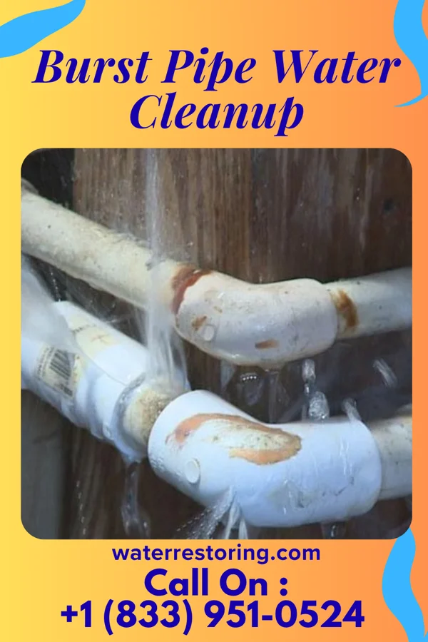 Burst Pipe Water Cleanup in Powell, OH