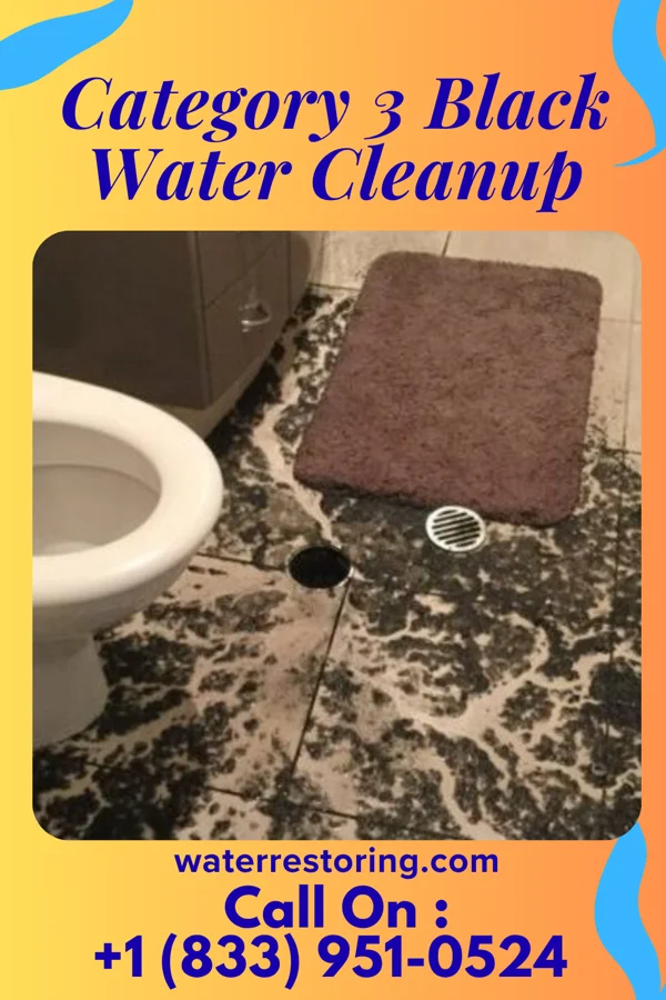 Category 3 Black Water Cleanup in Powell, OH