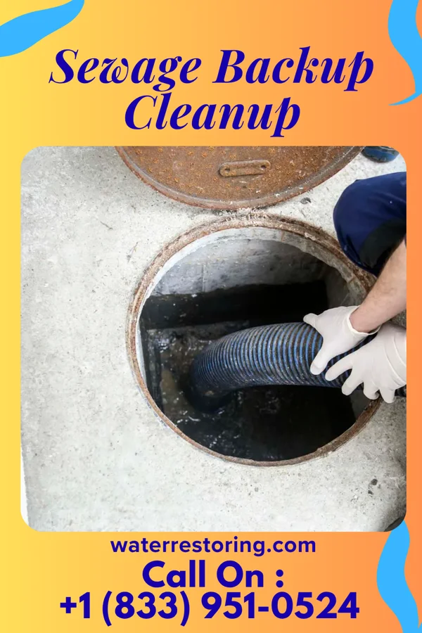 Sewage Backup Cleanup in Powell, OH