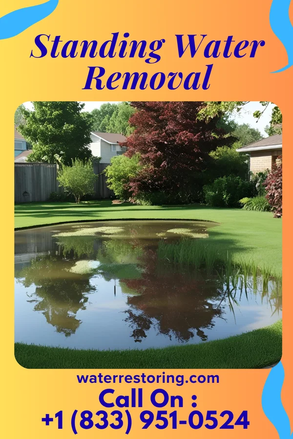 Standing Water Removal in Powell, OH